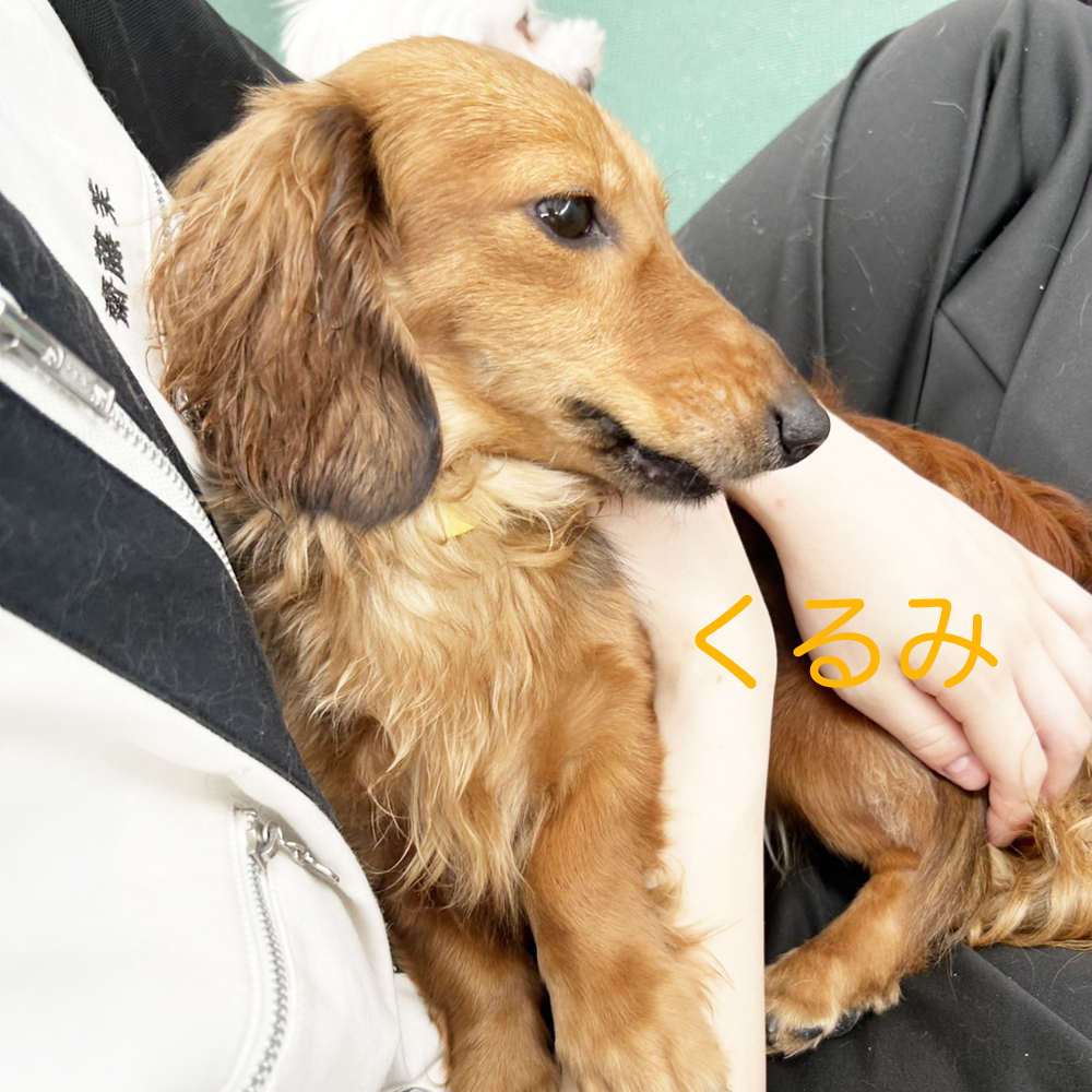 生徒が撮影した写真☆☆☆①